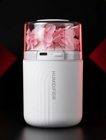 Diffuser humidifier