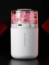 Diffuser humidifier